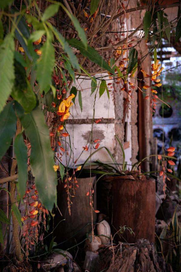 Y.O Inn Tỉnh Kontum 외부 사진